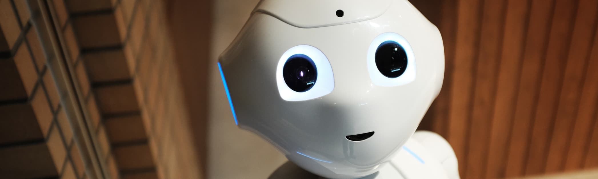 Chatbots