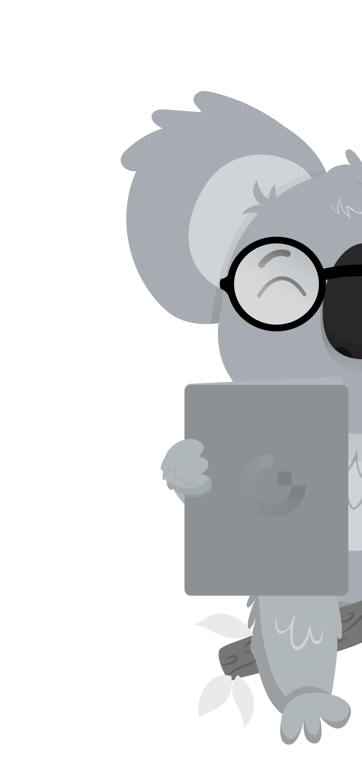 Digital Koala Hauptbild