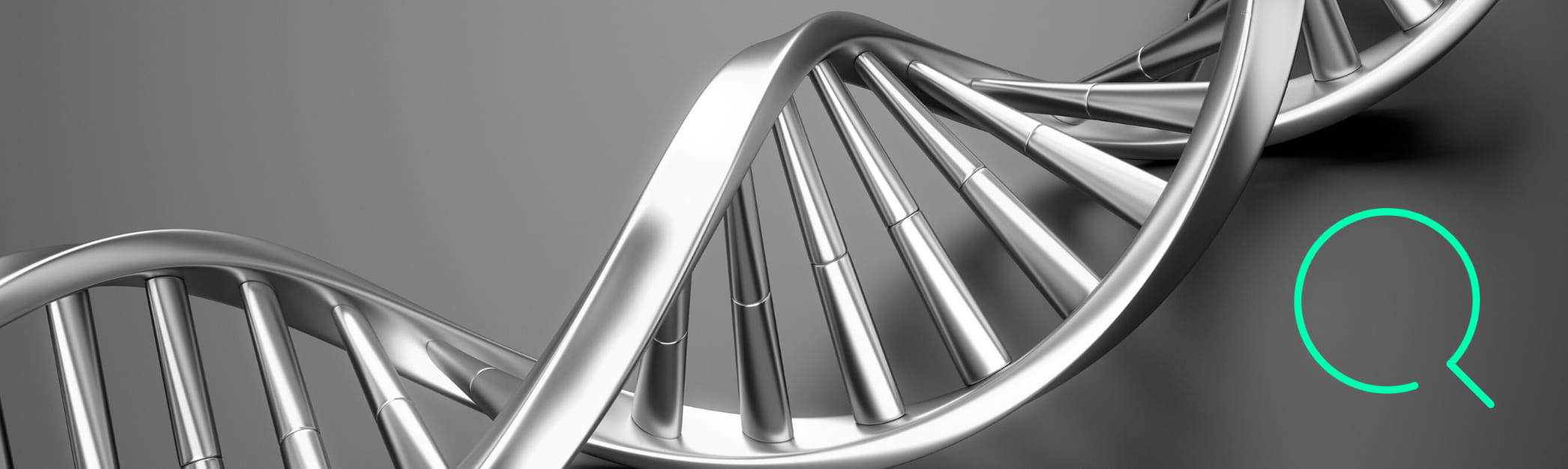 DNA structur and green SEO icon