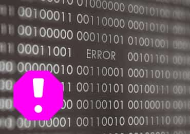 Bugs Website